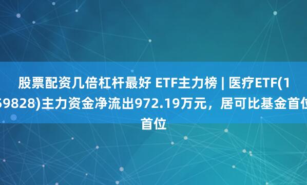 股票配资几倍杠杆最好 ETF主力榜 | 医疗ETF(159828)主力资金净流出972.19万元，居可比基金首位