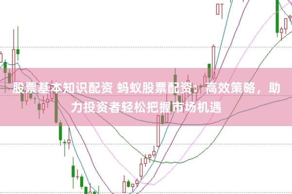 股票基本知识配资 蚂蚁股票配资：高效策略，助力投资者轻松把握市场机遇