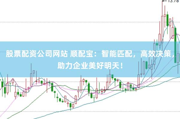 股票配资公司网站 顺配宝：智能匹配，高效决策，助力企业美好明天！