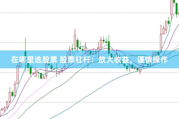 在哪里选股票 股票杠杆：放大收益，谨慎操作