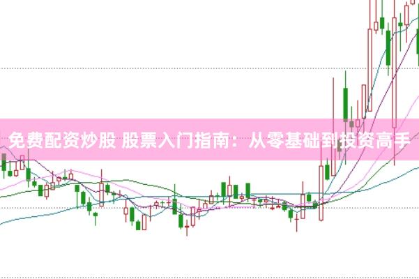 免费配资炒股 股票入门指南：从零基础到投资高手