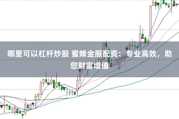 哪里可以杠杆炒股 蜜蜂金服配资：专业高效，助您财富增值