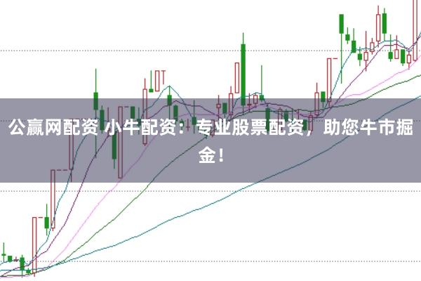 公赢网配资 小牛配资：专业股票配资，助您牛市掘金！