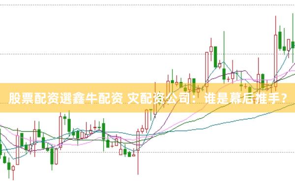 股票配资選鑫牛配资 灾配资公司：谁是幕后推手？