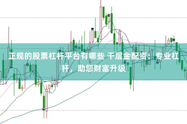 正规的股票杠杆平台有哪些 干层金配资：专业杠杆，助您财富升级