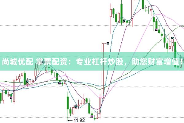 尚城优配 掌票配资：专业杠杆炒股，助您财富增值！
