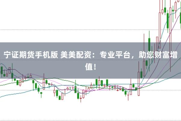 宁证期货手机版 美美配资：专业平台，助您财富增值！