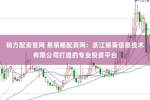杨方配资官网 易策略配资网：浙江银葵信息技术有限公司打造的专业投资平台