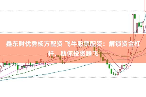 鑫东财优秀杨方配资 飞牛股票配资：解锁资金杠杆，助你投资腾飞