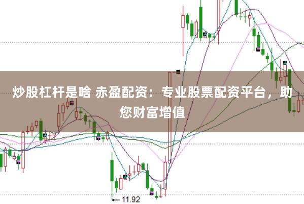 炒股杠杆是啥 赤盈配资：专业股票配资平台，助您财富增值