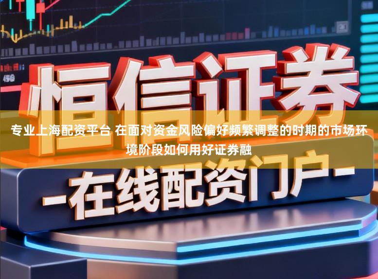 专业上海配资平台 在面对资金风险偏好频繁调整的时期的市场环境阶段如何用好证券融